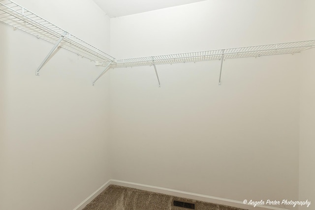 spacious closet featuring carpet floors and visible vents