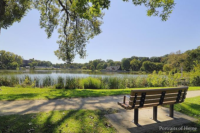 254 Spring Ave, Glen Ellyn, IL 60137 - view of home's community with a water view