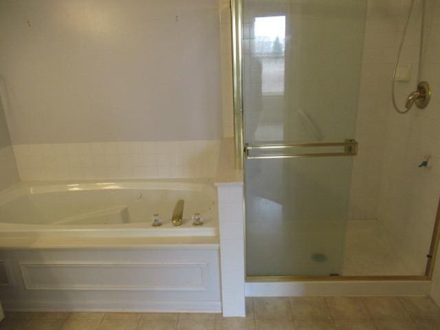 2844 Waterfront Ave, Algonquin, IL 60102 - full bathroom featuring tile patterned floors, a bath, and a stall shower