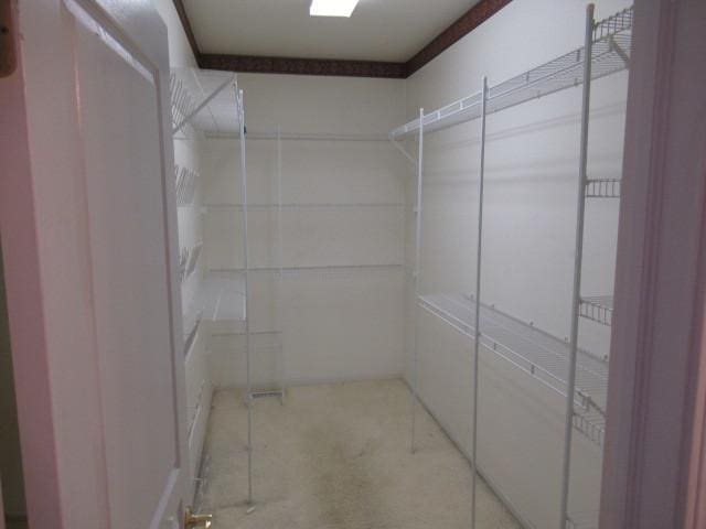 2844 Waterfront Ave, Algonquin, IL 60102 - view of spacious closet