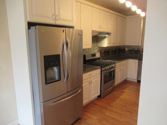 2844 Waterfront Ave, Algonquin, IL 60102 - kitchen with tasteful backsplash, dark countertops, under cabinet range hood, light wood finished floors, and stainless steel appliances