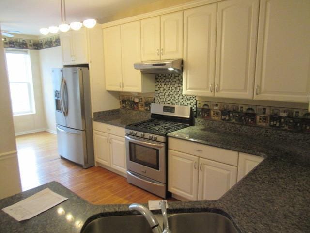 2844 Waterfront Ave, Algonquin, IL 60102 - kitchen with light wood-type flooring, white cabinets, under cabinet range hood, stainless steel appliances, and backsplash