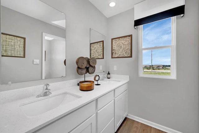 2011 Winterberry Trl, Wonder Lake, IL 60097 - bathroom with double vanity, baseboards, a sink, and wood finished floors