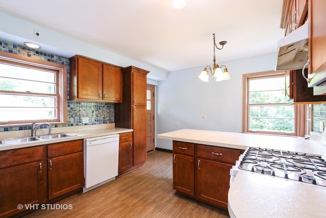 1226 Strieff Ln, Flossmoor, IL 60422 - kitchen featuring white dishwasher, light countertops, healthy amount of natural light, and light wood-style floors