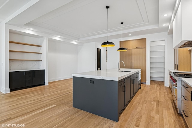 3846 N Bell Ave, Chicago, IL 60618 - kitchen featuring a raised ceiling, range with two ovens, open shelves, custom range hood, and light wood-style floors