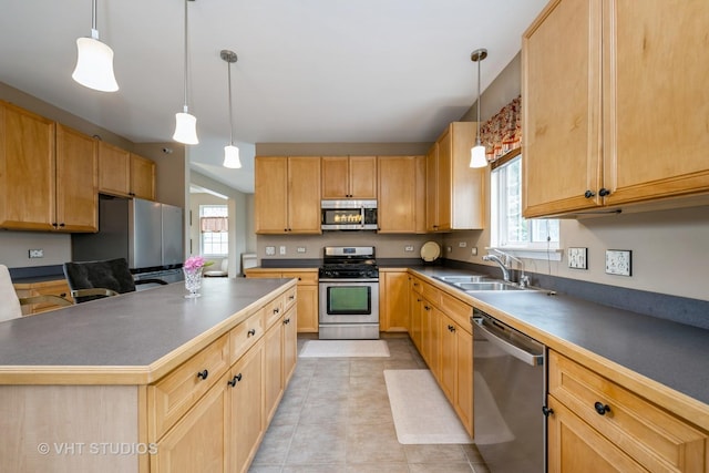 1641 Foster Cir, Algonquin, IL 60102 - kitchen with appliances with stainless steel finishes, a sink, healthy amount of natural light, and light brown cabinets