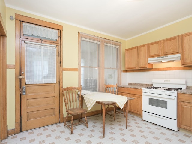 4249 W Melrose St, Chicago, IL 60641 - kitchen with tasteful backsplash, under cabinet range hood, crown molding, white gas range, and light floors