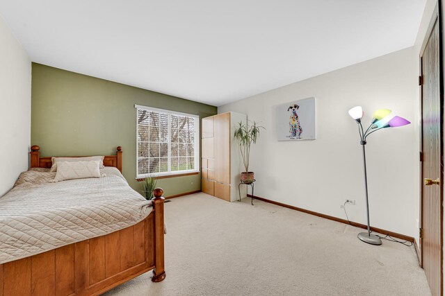 26247 N Green St Unit 2F, Mundelein, IL 60060 - bedroom featuring baseboards and light carpet