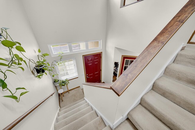 26247 N Green St Unit 2F, Mundelein, IL 60060 - staircase featuring baseboards, a high ceiling, and carpet