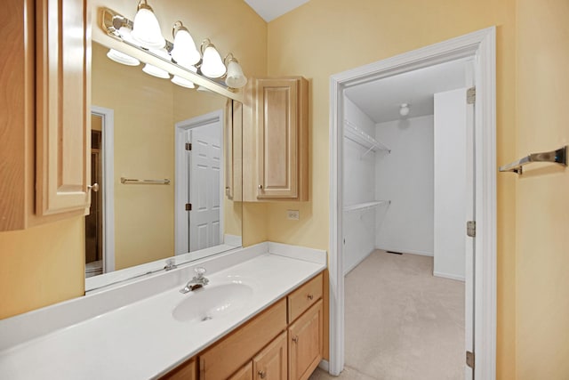 9154 Arbour Walk Dr, Frankfort, IL 60423 - bathroom featuring vanity