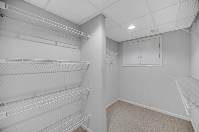 9154 Arbour Walk Dr, Frankfort, IL 60423 - walk in closet featuring a paneled ceiling and carpet flooring