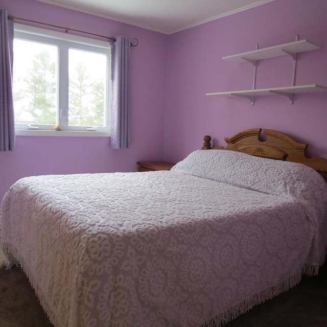 10902 E French St, Grant Park, IL 60940 - bedroom featuring ornamental molding