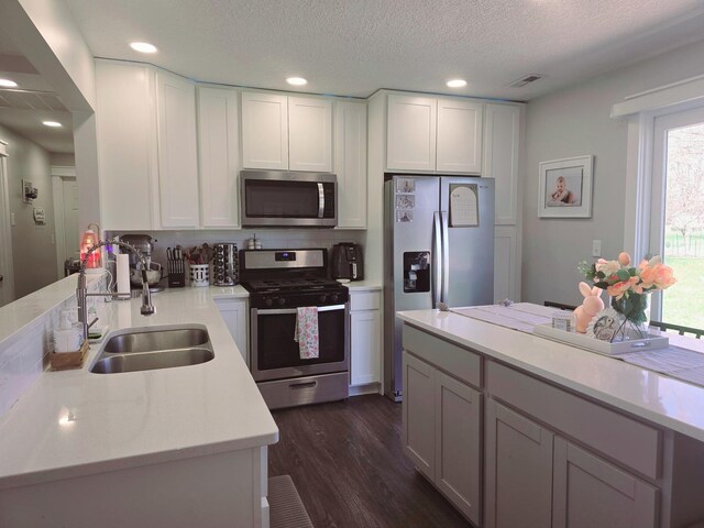 kitchen featuring dark wood-type flooring, visible vents, light countertops, a sink, and stainless steel appliances