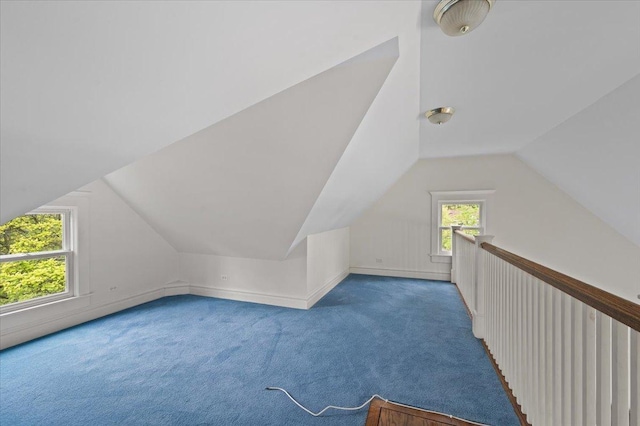 820 Lake Ave, Wilmette, IL 60091 - additional living space featuring carpet and lofted ceiling