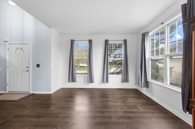 1904 Heron View Way, Round Lake, IL 60073 - spare room with dark wood-style floors and baseboards