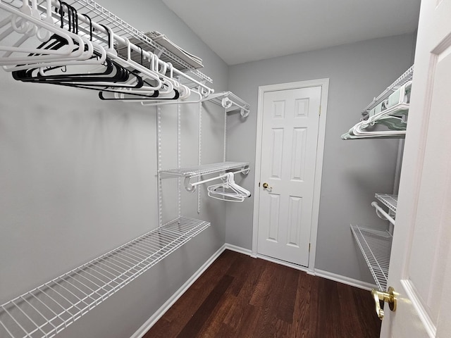 spacious closet featuring wood finished floors