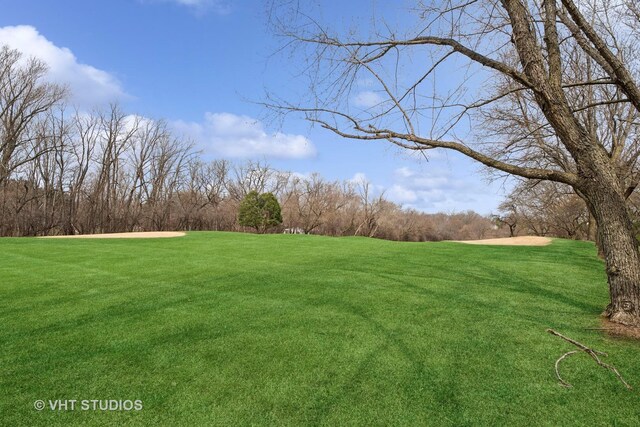 view of grassy yard