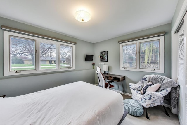 bedroom with a closet and baseboards