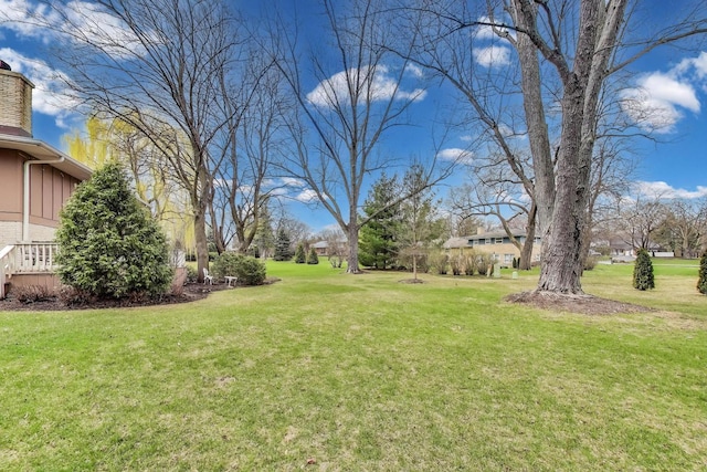 view of yard