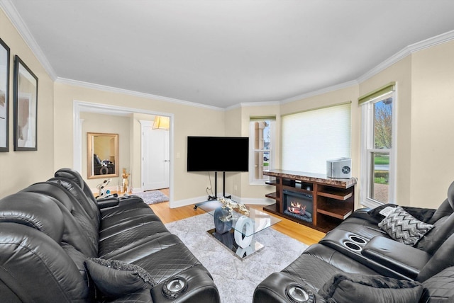 living room with baseboards, crown molding, and wood finished floors