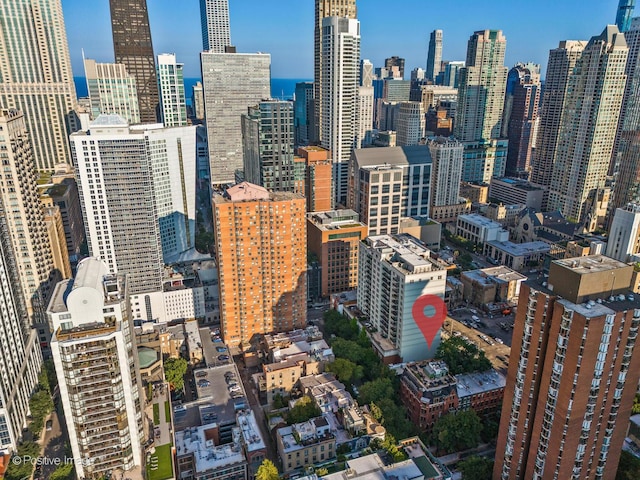839 N Dearborn St Unit F, Chicago, IL 60610 - photo 41