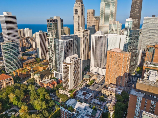 839 N Dearborn St Unit F, Chicago, IL 60610 - photo 43