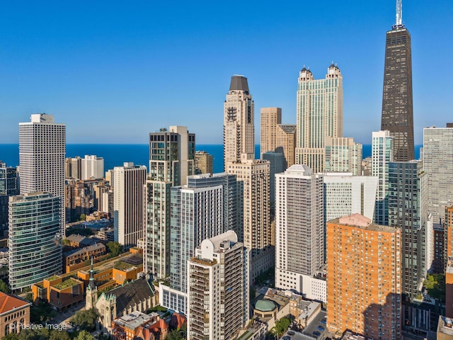 839 N Dearborn St Unit F, Chicago, IL 60610 - photo 44