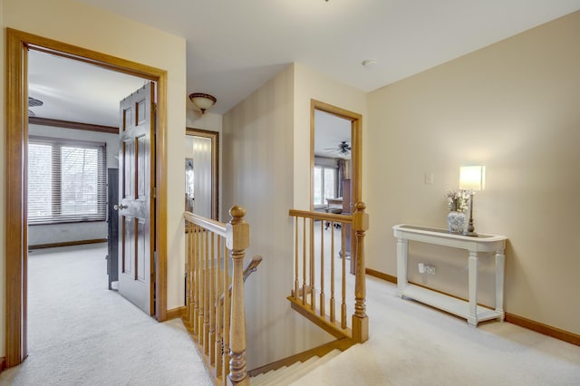 2624 Haddassah Dr, Naperville, IL 60565 - hall featuring baseboards, an upstairs landing, and carpet