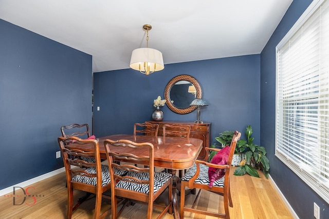 dining space featuring wood finished floors, baseboards, and plenty of natural light