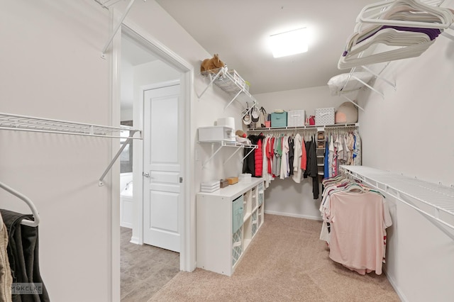 view of walk in closet