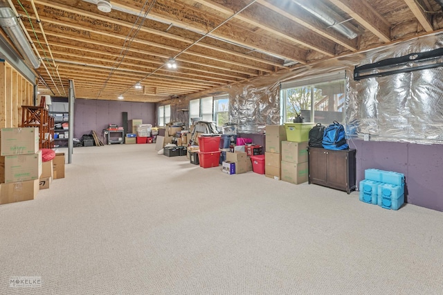 below grade area featuring carpet floors