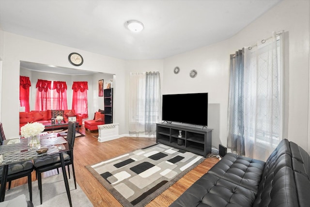 living room featuring baseboards, plenty of natural light, and wood finished floors