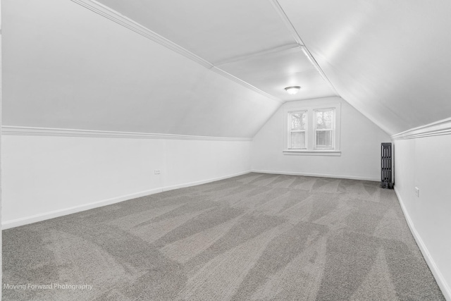 11945 S State St, Chicago, IL 60628 - additional living space with carpet floors, baseboards, and lofted ceiling