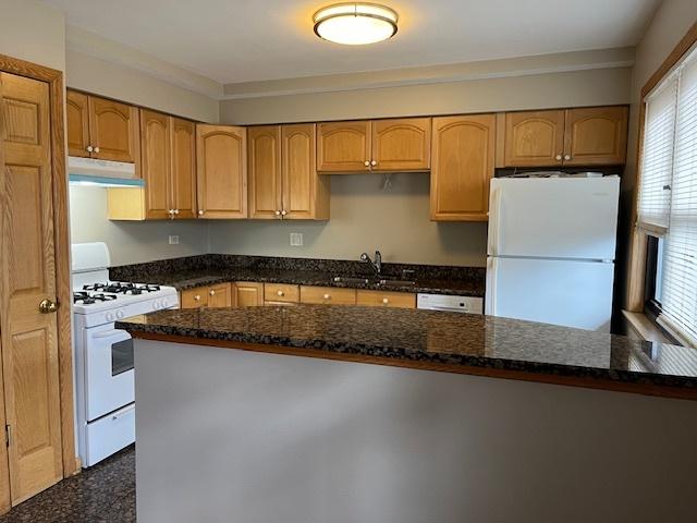 4416 N Kostner Ave Unit 2B, Chicago, IL 60630 - kitchen with dark stone countertops, a sink, under cabinet range hood, and white appliances