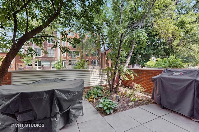 1341 N Wolcott Ave Unit A, Chicago, IL 60622 - view of patio featuring a grill