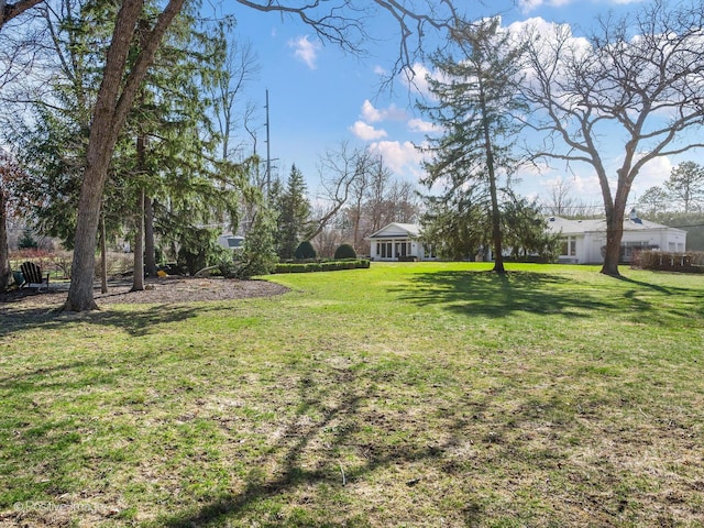 view of yard