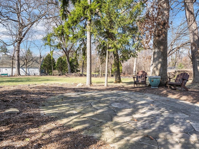 view of yard featuring a patio area