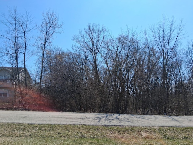 12933 W Polo Ave, Waukegan, IL 60087 - photo 2