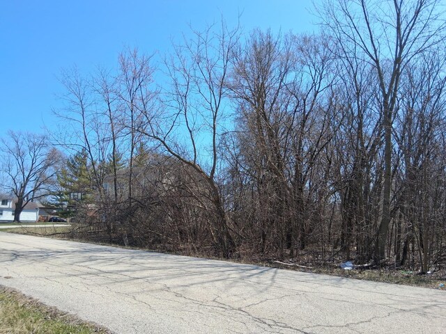 12933 W Polo Ave, Waukegan, IL 60087 - photo 3