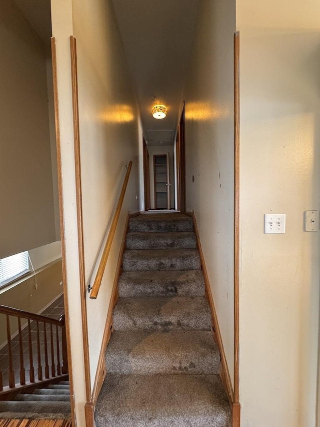 16426 Homan Ave, Markham, IL 60428 - stairs with carpet and baseboards