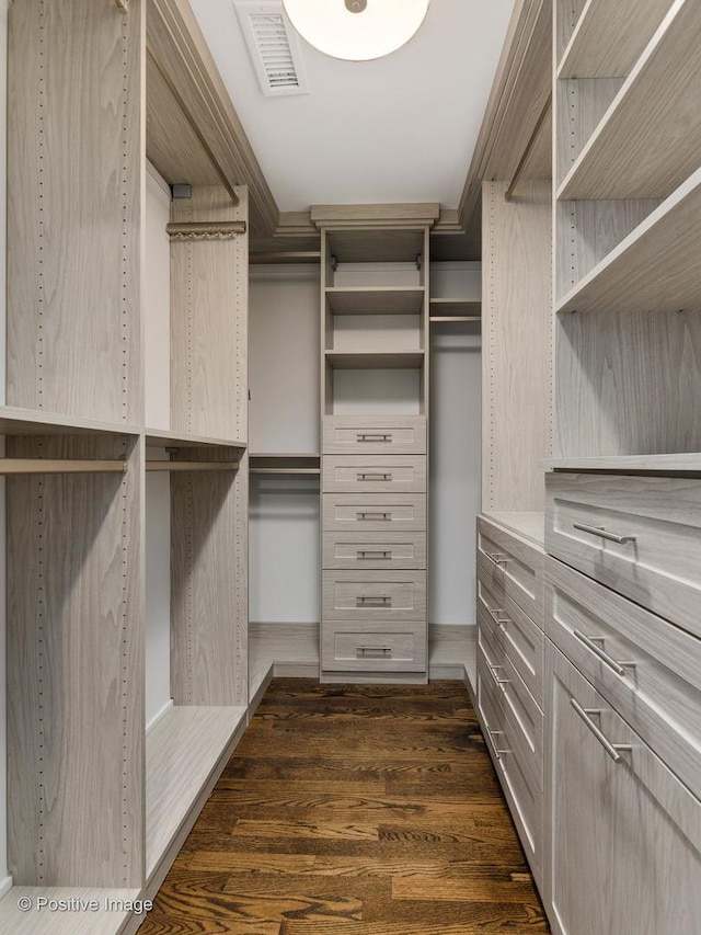 walk in closet featuring dark wood-style floors and visible vents