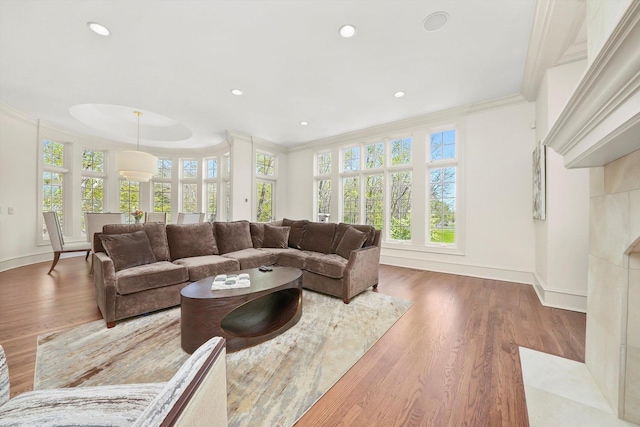 96 S Wynstone Dr, North Barrington, IL 60010 - living area with crown molding, healthy amount of natural light, wood finished floors, and recessed lighting