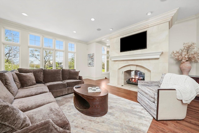 96 S Wynstone Dr, North Barrington, IL 60010 - living area with crown molding, wood finished floors, a high end fireplace, and recessed lighting