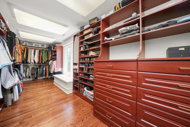 96 S Wynstone Dr, North Barrington, IL 60010 - walk in closet featuring light wood-style flooring