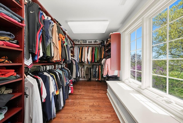 96 S Wynstone Dr, North Barrington, IL 60010 - spacious closet featuring wood finished floors