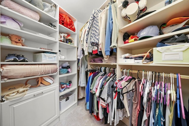 96 S Wynstone Dr, North Barrington, IL 60010 - walk in closet featuring carpet flooring