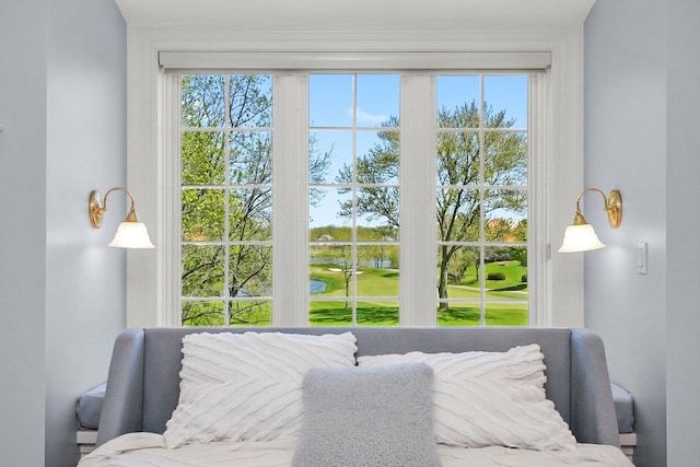 96 S Wynstone Dr, North Barrington, IL 60010 - bedroom with multiple windows, view of golf course, and a water view