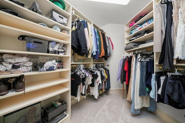 96 S Wynstone Dr, North Barrington, IL 60010 - walk in closet featuring carpet floors