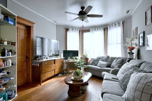 living area featuring crown molding, visible vents, a ceiling fan, and hardwood / wood-style floors