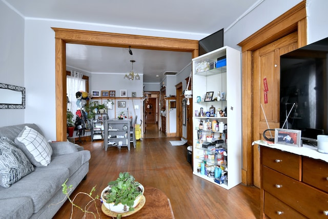 living area featuring dark wood-type flooring and ornamental molding